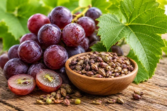 Grape Seed Extract